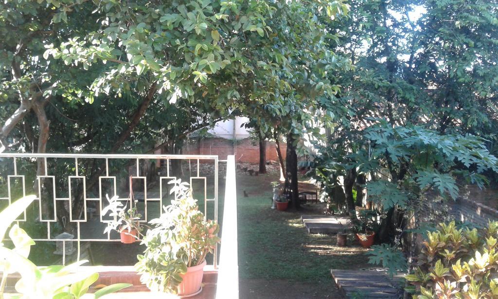 La Casa De Pedro Hostel Энкарнасьон Экстерьер фото